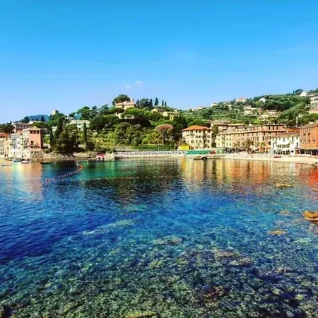 Mirarti Boutique - Witamy 3*