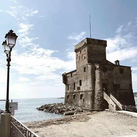 Mirarti Boutique - Witamy 3*